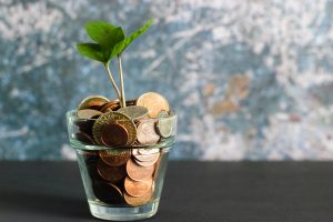 money tree and funding