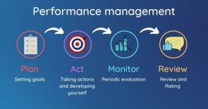 Performance management cycle stages