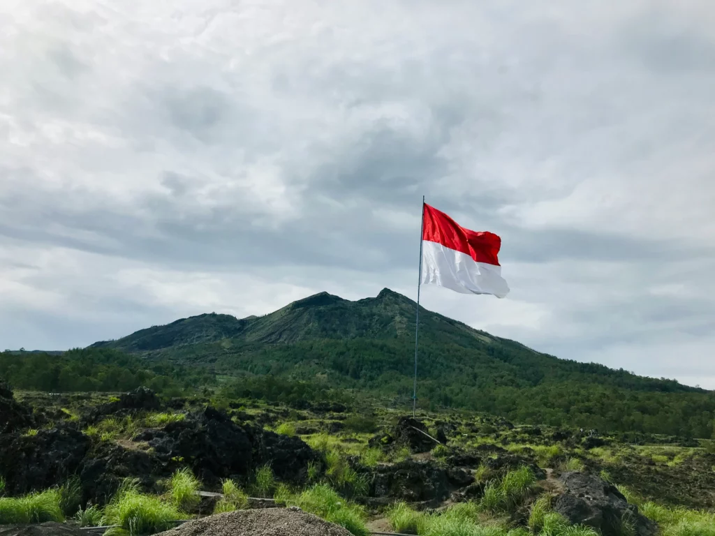 Pay contractors in Indonesia