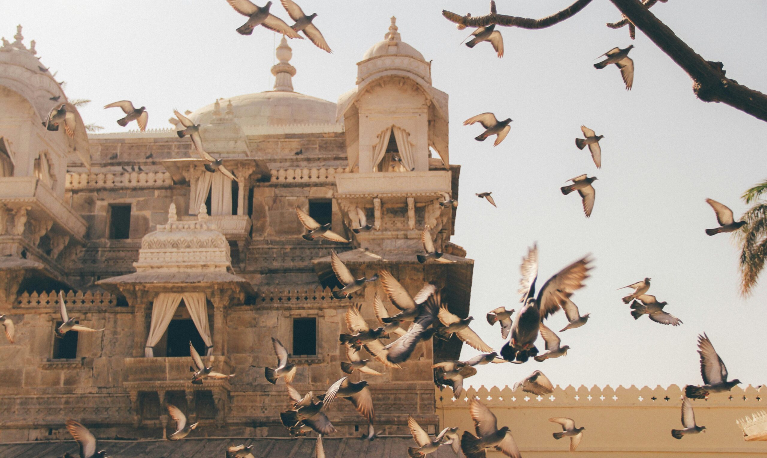 You are currently viewing PEO Services in India: The Ultimate Guide